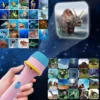 f48484a7c0151e58b1ec2a4dfbff96a0.webp Kids Flashlight Story Book Projector